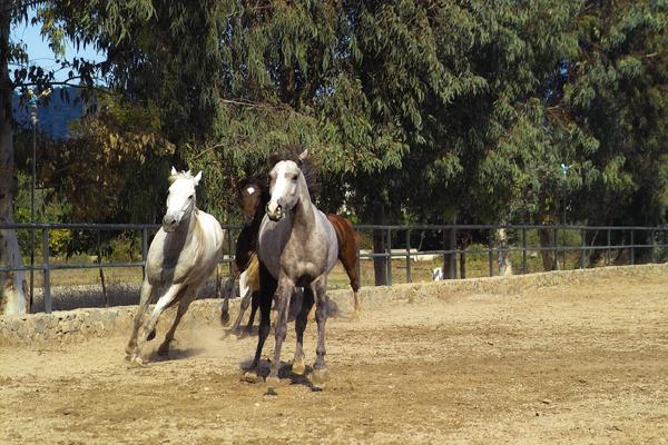 BERKE RANCH HOTEL