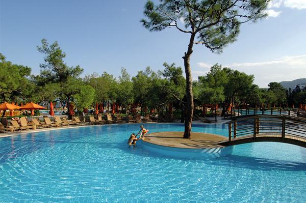ANTEDON GARDEN