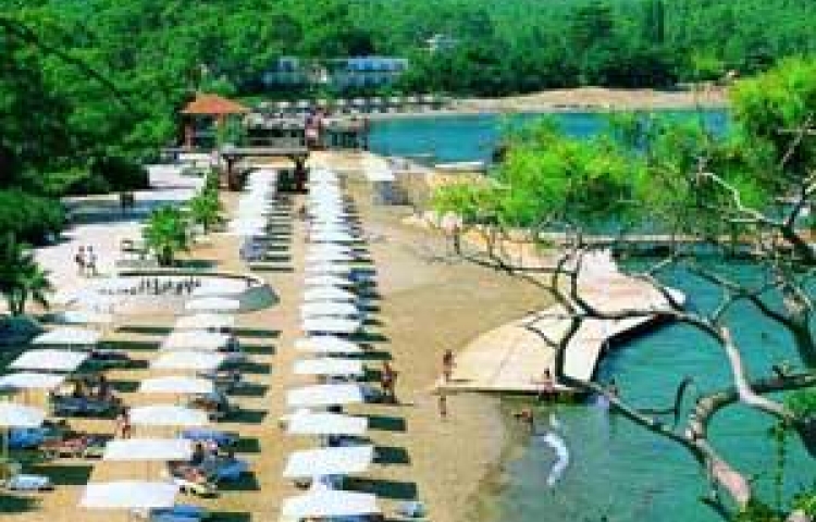 CLUB PHASELIS