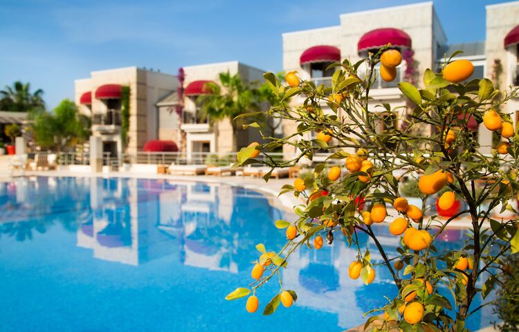 Bodrium Hotel & Spa - Special Category