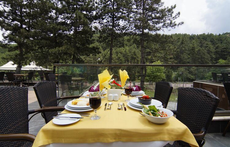 Çam Thermal Resort & Spa Convention Center