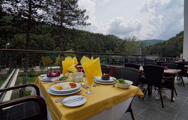 Çam Thermal Resort & Spa Convention Center