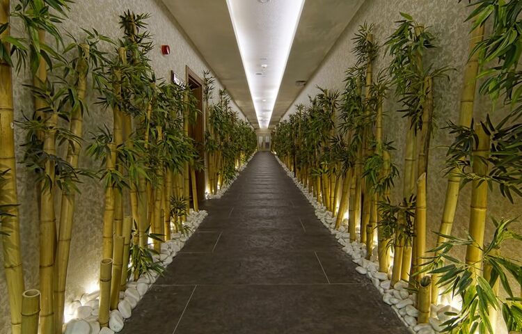 Çam Thermal Resort & Spa Convention Center