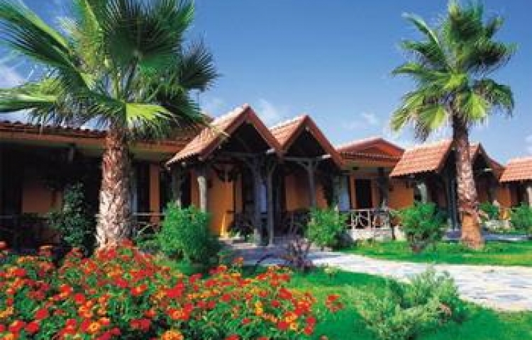 KAMELYA WORLD SELIN 