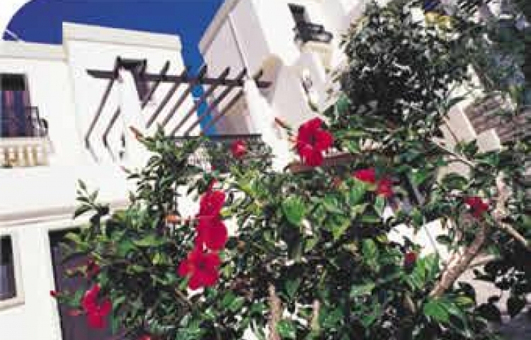 ART BODRUM